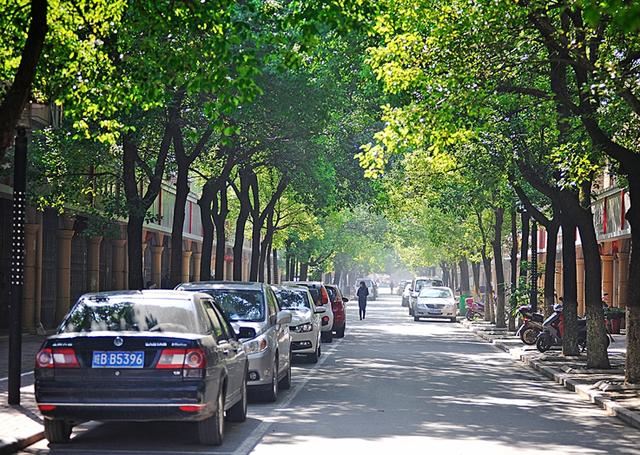 为何国内注重的城市绿化，欧洲国家却基本没有？这4个原因很实在