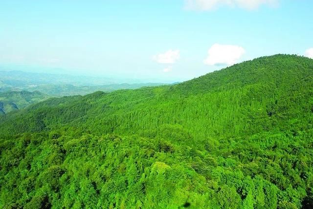 用数据说话向人民报账 退耕还林工程综合效益监测国家报告出版发行