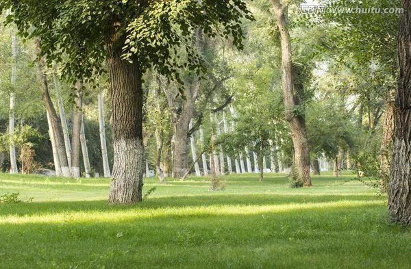 园林植物配置的禁忌你知道吗？有些果树植物在一起会死的