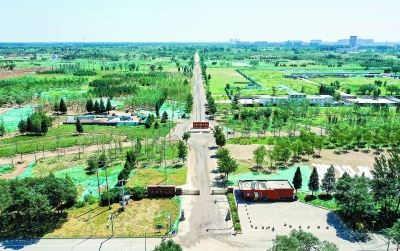 北京城市副中心“长”在森林里
