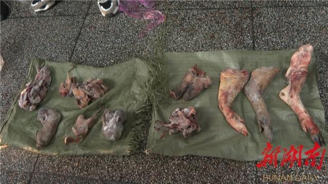 岳阳县林业局开展严打猎杀经营野生动物违法犯罪专项行动
