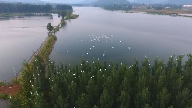 南四湖省级自然保护区总体规划（2020-2029年）获批复