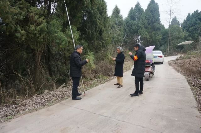 锦上添花！绽放现代林业生态之美，荣添青白江之彩！