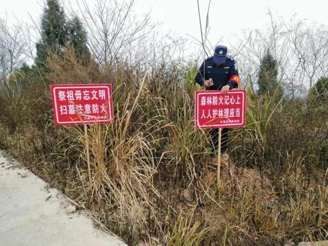 锦上添花！绽放现代林业生态之美，荣添青白江之彩！