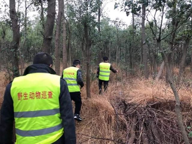 市绿化市容局：加强陆生野生动物疫源疫病监测防控，做好人工繁育单位监管和消毒隔离