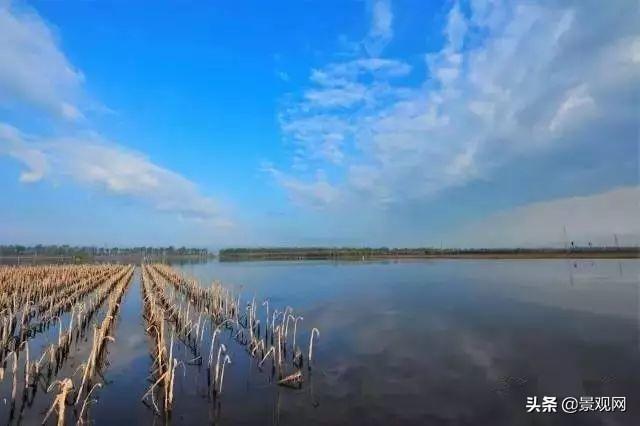 河北省都有哪些湿地公园，河北最美20处湿地公园推荐