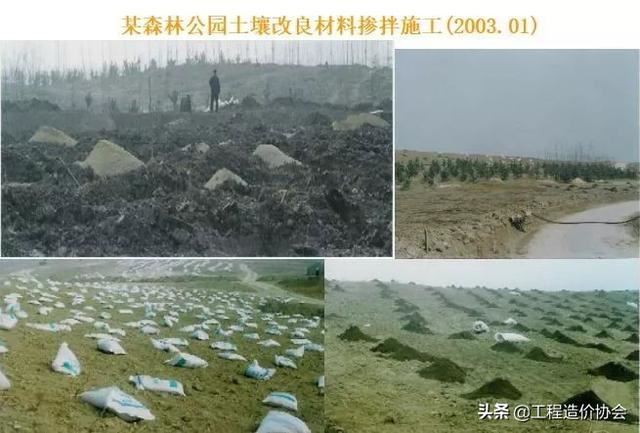 「干货」园林绿化及园林绿化施工全解地产微分享
