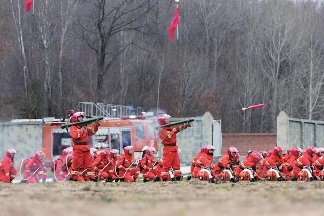 五十九年无重大森林火灾的背后