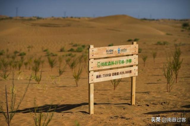 这才叫搞环保，中国20年绿化面积占全世界四分之一