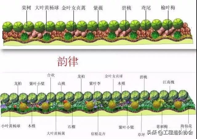 「干货」园林绿化及园林绿化施工全解地产微分享