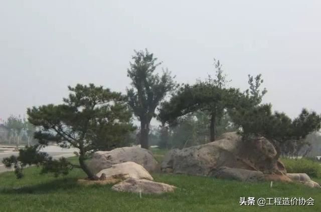「干货」园林绿化及园林绿化施工全解地产微分享