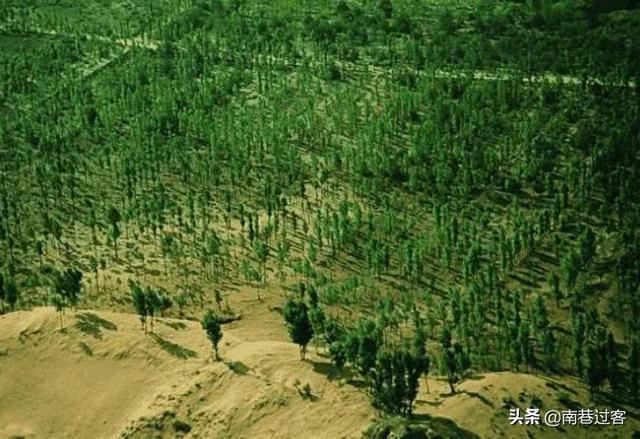 这才叫搞环保，中国20年绿化面积占全世界四分之一