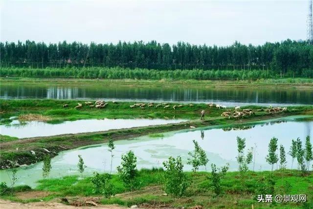 河北省都有哪些湿地公园，河北最美20处湿地公园推荐