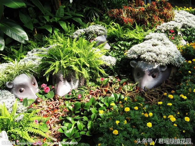 这样的庭院绿化效果，值得我们大家借鉴一下