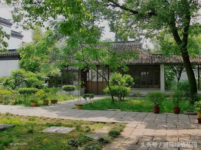 这样的庭院绿化效果，值得我们大家借鉴一下