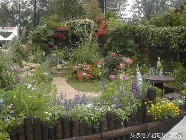 这样的庭院绿化效果，值得我们大家借鉴一下