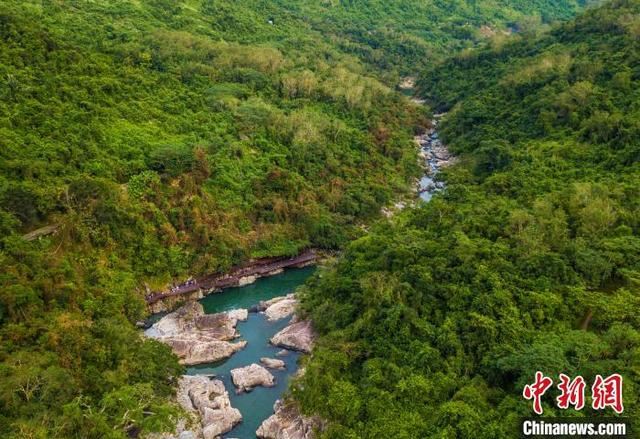 2020年海南热带雨林国家公园提速建设