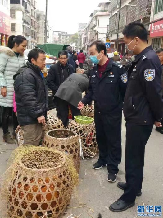 江西多地森林公安迅速打击疫期非法收售野生动物