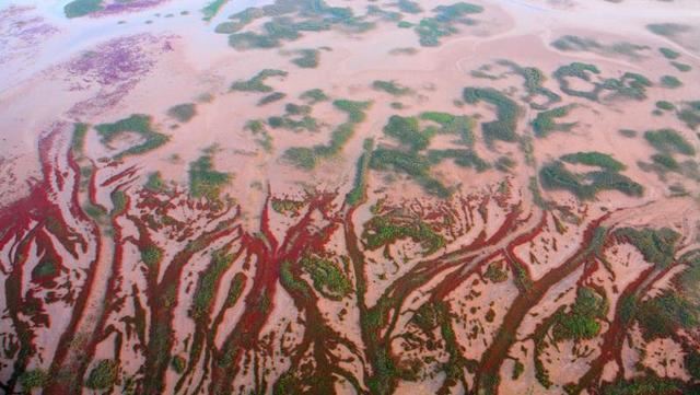 第24个“世界湿地日”山东共建湿地类型自然保护区23处