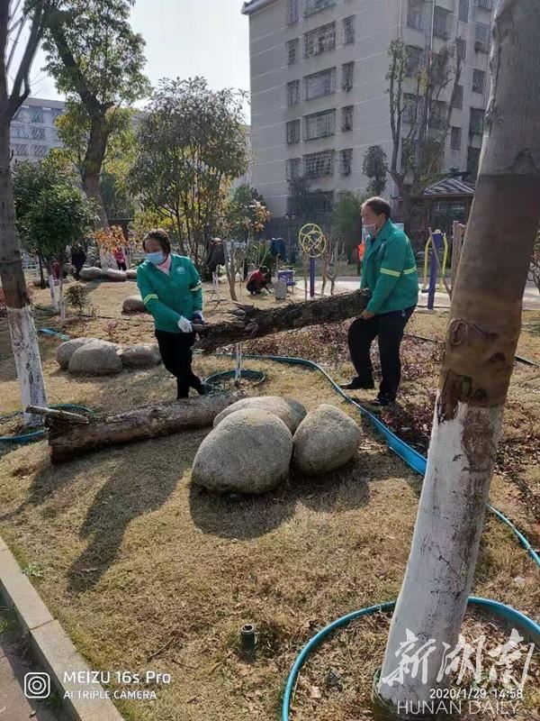 部门｜冷水滩区园林处：坚守绿色阵地 做好疫情防控