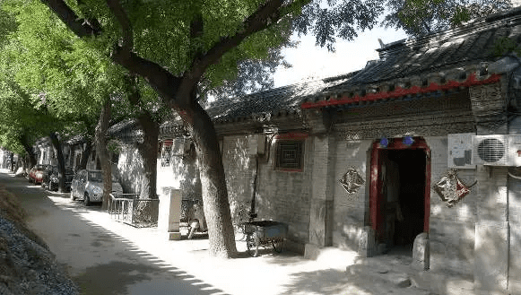 趣说北京｜四合院的绿化有讲究，别种错了！