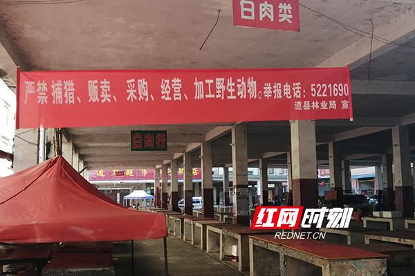 抗疫在基层｜道县：“四个全覆盖”做好林业疫情防控工作