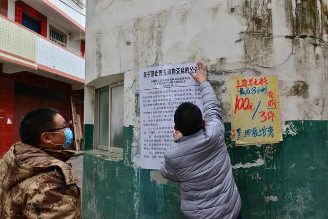 长汀县林业局—全力奋战疫情，守住林业防线