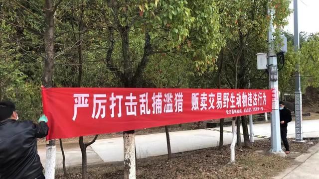长汀县林业局—全力奋战疫情，守住林业防线