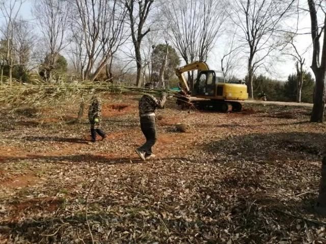 武汉火神山医院，园林工作者火速完成绿化