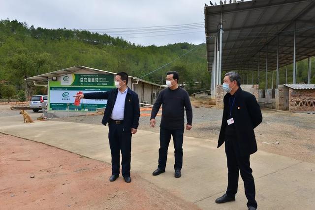 长汀县林业局—全力奋战疫情，守住林业防线