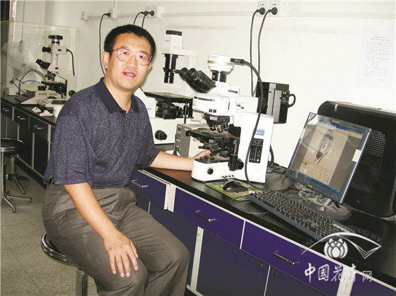【聚焦 花木育种人】 北京林业大学教授康向阳：勇登林木育种之“山”