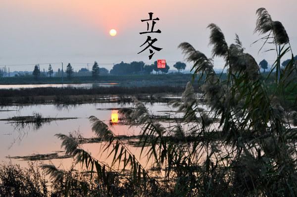 园林景观植物-全年养护管理方案，必看篇