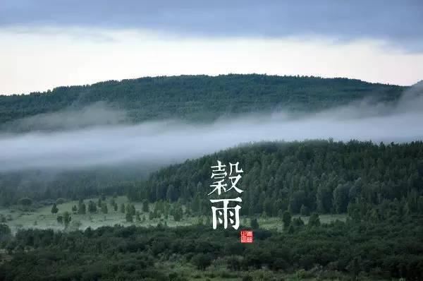 园林景观植物-全年养护管理方案，必看篇