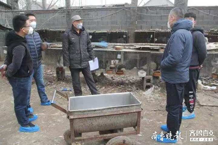 盯紧管住，广饶林业执法队扎实做好疫情防控工作