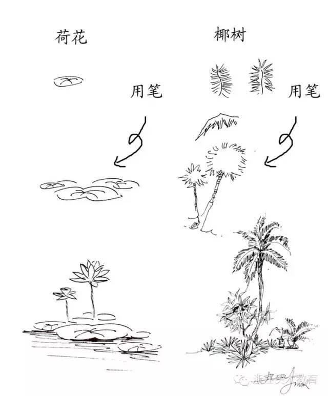 最常用植物手绘技法示例，停工不停学