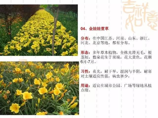 130种·常用园林植物集锦，全，全，是真全