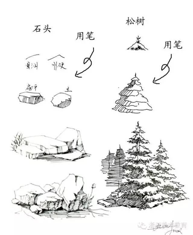 最常用植物手绘技法示例，停工不停学