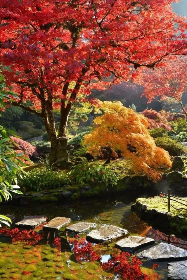 世界著名花园赏析——色彩和逻辑之美