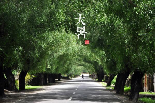 园林景观植物-全年养护管理方案，必看篇