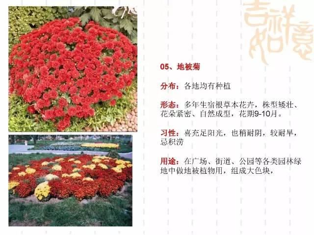130种·常用园林植物集锦，全，全，是真全