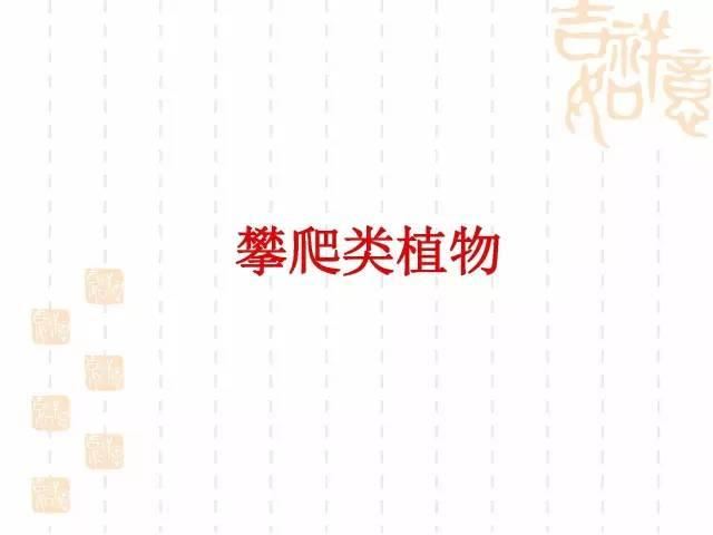 130种·常用园林植物集锦，全，全，是真全