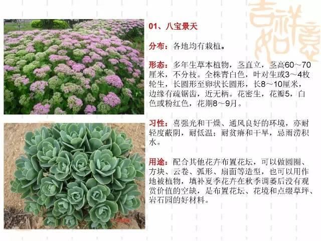 130种·常用园林植物集锦，全，全，是真全