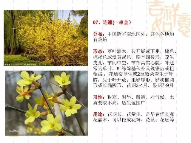 130种·常用园林植物集锦，全，全，是真全