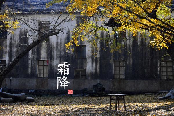园林景观植物-全年养护管理方案，必看篇