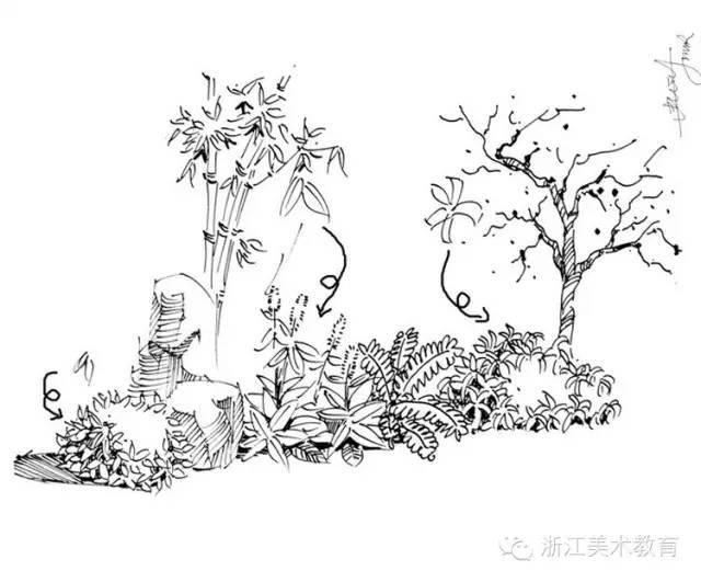 最常用植物手绘技法示例，停工不停学