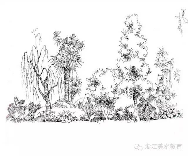 最常用植物手绘技法示例，停工不停学