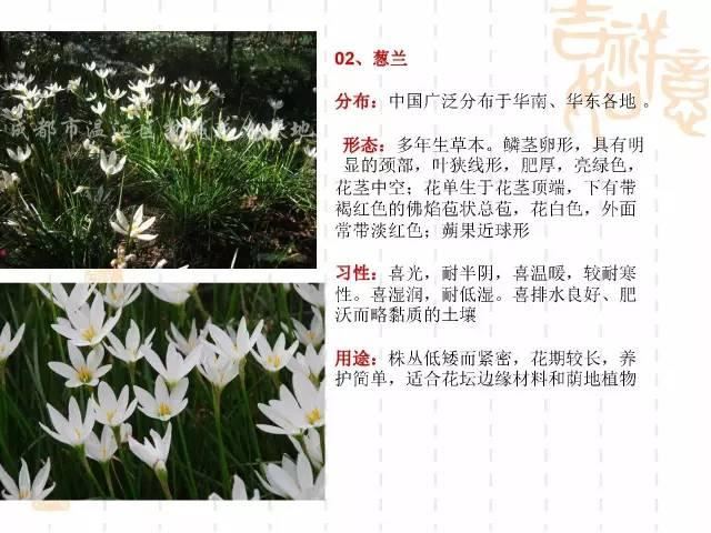 130种·常用园林植物集锦，全，全，是真全