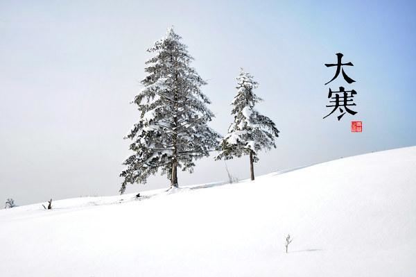 园林景观植物-全年养护管理方案，必看篇