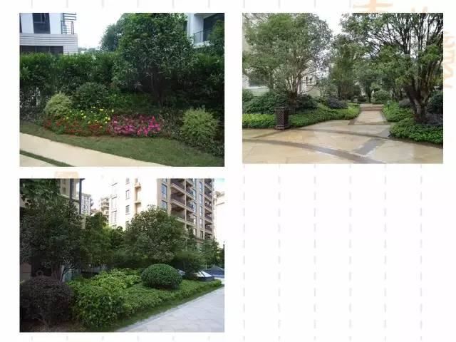 130种·常用园林植物集锦，全，全，是真全
