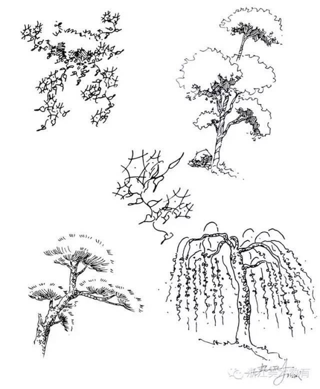 最常用植物手绘技法示例，停工不停学